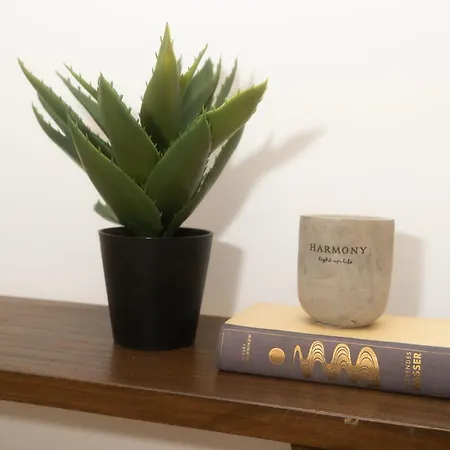 Modernes Altstadt Appartement